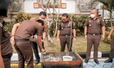 Kejari Badung Musnahkan BB Pohon Ganja