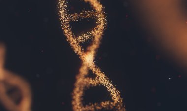 Detak Jantung dan Sidik Jari dalam Tren Biometrik, Manakah yang Lebih Unggul?