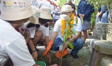 Menko PMK Launching Penanaman 10 Juta Pohon Mangrove di 34 Provinsi
