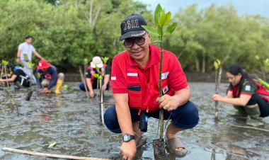 Kolaborasi Hijau, PMI Tanam 1.000 Mangrove di Desa Tuwed untuk Cegah Abrasi