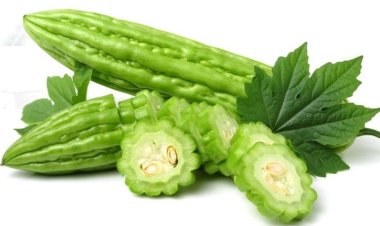 Tak Sepahit Rasanya , Manfaat Pare Yang begitu Manis Bagi Tubuh