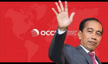 OCCRP Tidak Hapus Nama Joko Widodo dari Daftar Finalis "Person of the Year 2024"