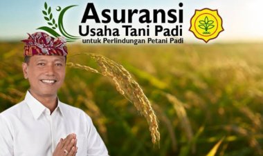 Ajik DNB: Perlu Sosialisasi Asuransi Tani Agar Petani Sadar Bukan Program Jargon