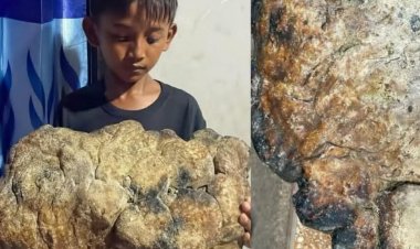 Bocah 10 Tahun di Baubau Temukan Benda Diduga Muntahan Paus di Tepi Pantai