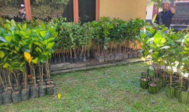 KEK Kura Kura Bali Ambil Bagian dalam Penghijauan Bali 2025