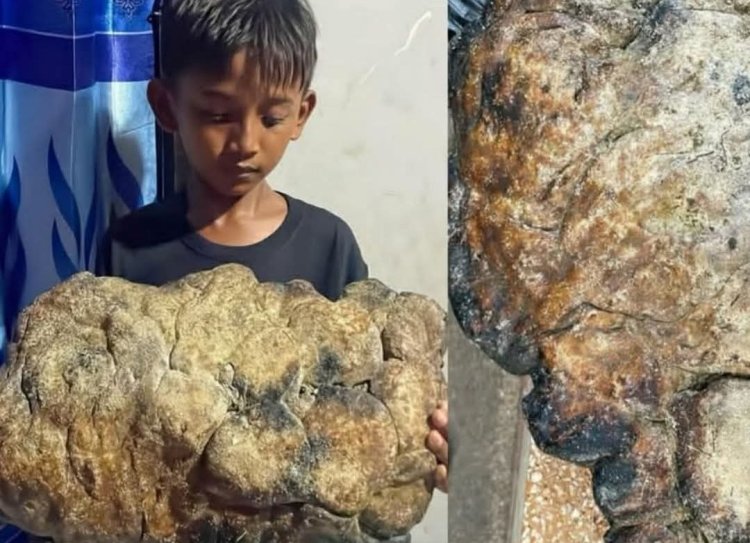Bocah 10 Tahun di Baubau Temukan Benda Diduga Muntahan Paus di Tepi Pantai