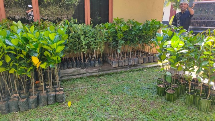 KEK Kura Kura Bali Ambil Bagian dalam Penghijauan Bali 2025