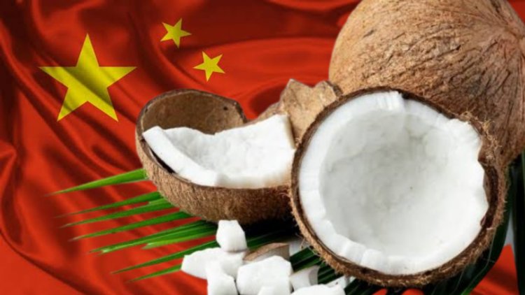Dilema Ekspor Kelapa Untung Besar dari China, Harga Naik di Tanah Air