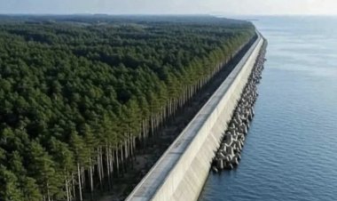 Benteng Laut dan Hutan Harapan, Jepang Bangkit dari Tsunami dengan Rekayasa dan Alam