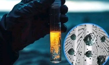 Air Laut Jadi Air Minum Sekejap! Ilmuwan Inggris Ungkap Filter Ajaib Penyelamat Masa Depan