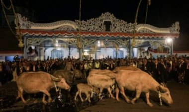 1 Muharam dan 1 Suro, Dua Awal Tahun, Dua Makna dalam Satu Kalender