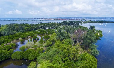 Ruang Hijau Terawat, KEK Kura Kura Bali Jadi Habitat Ratusan Spesies Satwa