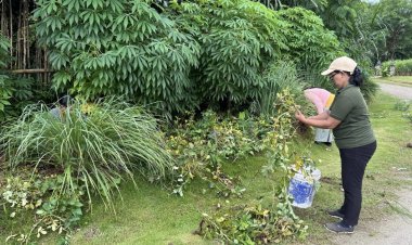 KEK Kura Kura Bali–Nukari Kolaborasi Hijau, Lahan dan Kolam Disulap Jadi Ruang Produktif Warga Serangan